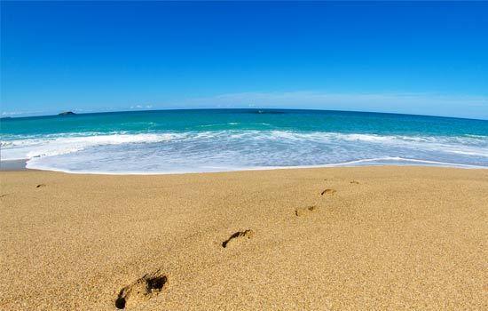 Aparthotel Nautilus Beachfront &